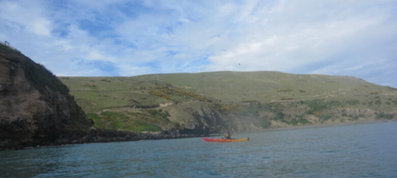 Taiaroa Head