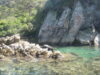 bateau-taxi-la-fin-de-abel-tasman-track