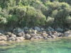 bateau-taxi-la-fin-de-abel-tasman-track