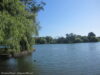 western-springs-park-auckland