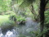 buried-village-te-wairoa