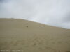 dunes-de-sable-northland