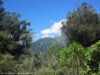 franz-josef-glacier