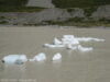 icebergs-dans-le-lac-hooker