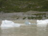 icebergs-dans-le-lac-hooker