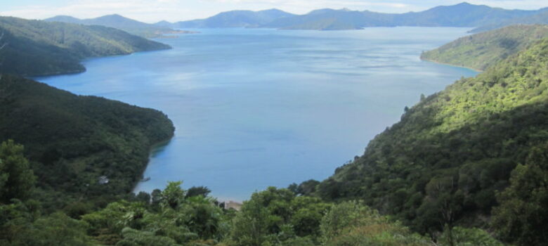 Queen Charlotte track : randonnée