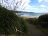 rakiura-track