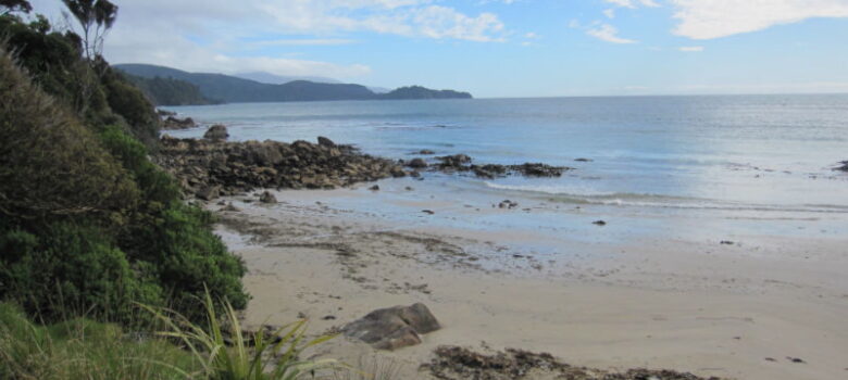 Rakiura track