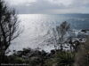 stewart-island-oban