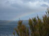 stewart-island-oban