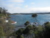 stewart-island-oban