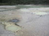 parc-gothermique-wai-o-tapu