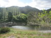 whanganui-journey-en-kayak