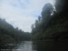 whanganui-journey-en-kayak